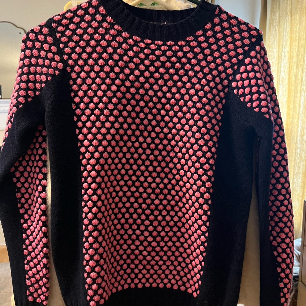 JCrew Collection Cashmere sweater. HTF!